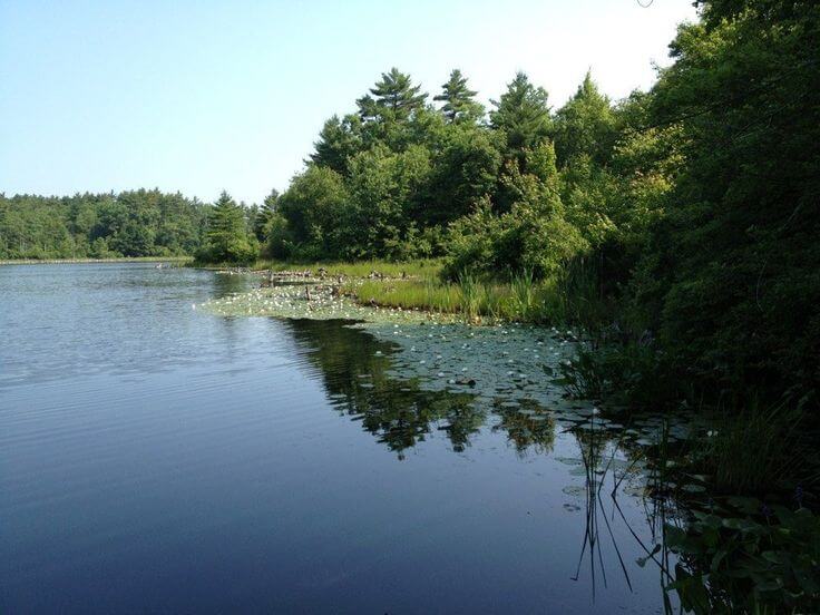 Kingston, Massachusetts Watershed Preserve