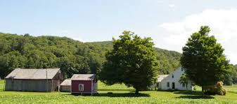 Countryside in Buckland, Massachusetts